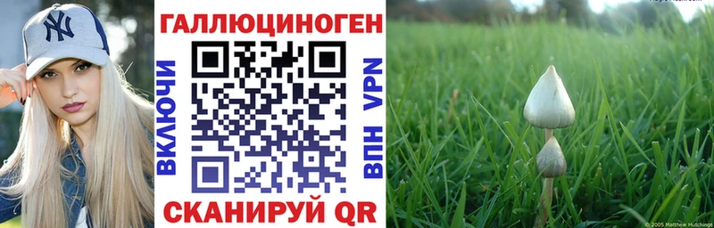 мега ссылки  Выкса  Псилоцибиновые грибы Cubensis 