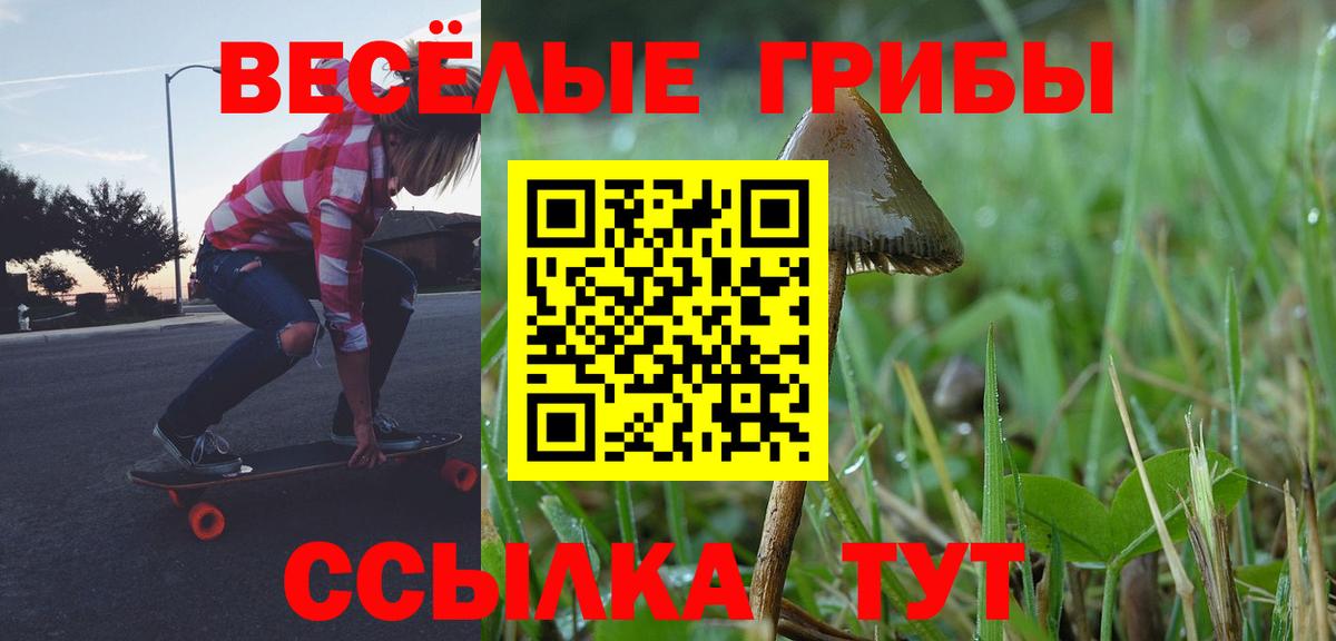 Галлюциногенные грибы прущие грибы Выкса